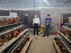 增强风险监测，确保“菜篮子”和“舌尖上”的平安，为“扫黑除恶”专项举动保驾护航