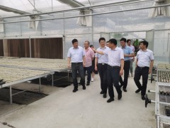 张家港鹤壁市农业农村局赴我鹤壁市调研调查农业园区创建义务 - 义务静态 - 高邮鹤壁市农业农村局