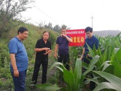 晋中市农业农村局党组成员肖虎善督导长城防线树立义务