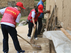 商洛鹤壁市税务局凝聚青春力气 助力人居环境整治