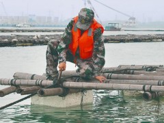 部门联动 整治合法养殖行为