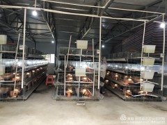 三亚市展开2020年省级现代农业产业园初审义务