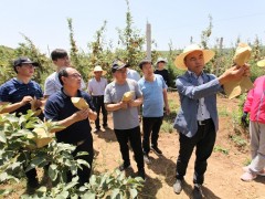 鹤壁市果菜中心展开党日活动内容丰厚成效清楚-宝鸡鹤壁市农业农村局