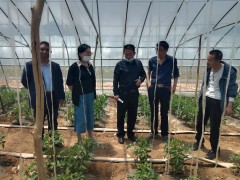 局纪检组长董丽萍赴和顺县调研产业项目推进情况