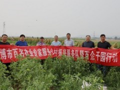 乡村复兴效力队五组约请退休老专家、农业机械专家展开效力