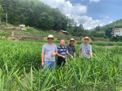 省蔬菜产业技术体系专家到龙岩市指点蔬菜消费