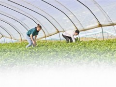 榆林：产业兴隆 乡村复兴