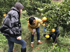旌阳区展开“两节”“两会”时期农产质量量安全反省