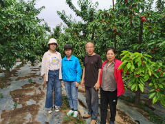 延安：紧随时代步伐  创新才干致富