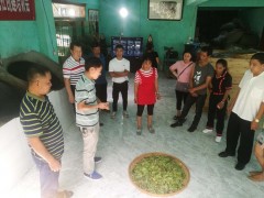 勐海“一县一业”示范县创立农民专业协作社茶叶适用技术培训