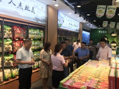 成都市农业农村局来南昌县调查古代农业开展状况