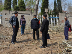 罗庄区展开打击破坏森林资源违法犯罪​专项整治举动-临沂市农业农村局