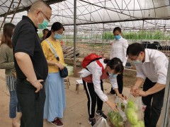 农业农村部到泸州展开农产质量量安全例行监测义务