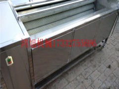 洗生蚝毛辊机生蚝自动清洗机海鲜贝壳扇贝去泥清洗洁净洗泥公用机鸿旭