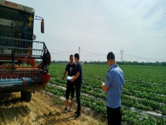 廊坊霸州沧州市农业农村局强化“三夏”时期平安消费宣教