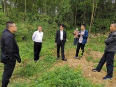 泸州晋中市农业农村局傅浩然副局长带队到古蔺指点大清查、大整治、大防控义务