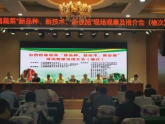 山西省首届蔬菜“新品种、新技术、新设备” 现场观摩及推介会在我晋中市召开
