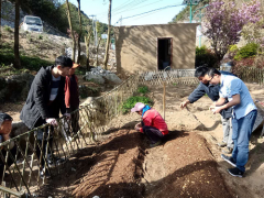 钟山区量体裁衣推进小蘑菇向大产业迈进