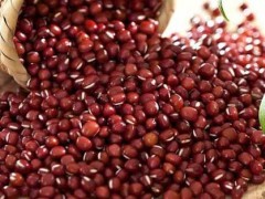 红小豆种植栽培技术及红小豆的苗期管理