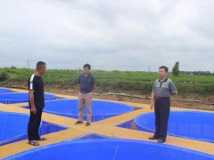 市农业农村局左家斌副局长调研新干县绿色渔业展开义务