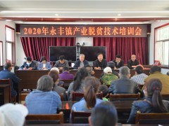 鹤壁市级专家团赴洛南展开产业扶贫技术效力