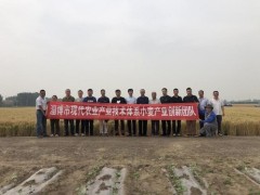 淄博晋中市现代农业产业技术体系小麦创新团队义务交流会召开