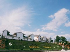 商洛鹤壁市（商南、洛南、山阳）春季休闲游线路举荐