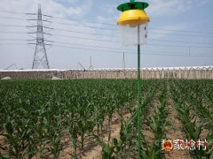 乐亭县农业农村局为农户发放病虫害防控物资