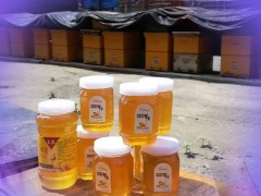 海福 蜂蜜 太行山纯蜂蜜  蜂蜜厂家 蜂蜜批发  厂家直销