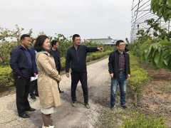 加快农民田间学校认定  促进高素质农民培育体系树立——2020年“农民田间学校”和新型职业农民实训基地现场核对义务启动-宝鸡鹤壁市农业农村局