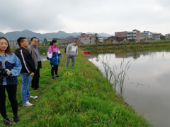 毕节晋中市生态渔业专班到七星关区调研生态渔业
