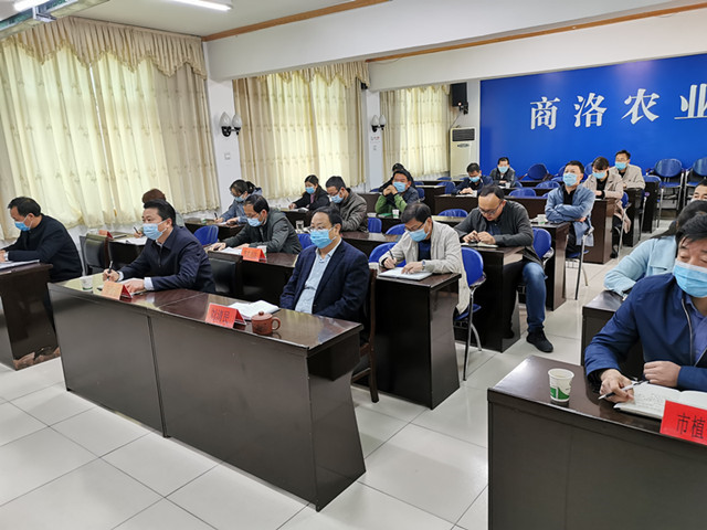 病虫害视频会议2_副本