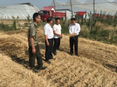 韩城：发扬农机优势 确保“三夏”顺利中止