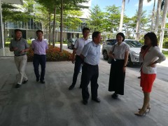 三亚市农业农村局义务组欣赏崖州湾科技城中止项目调查