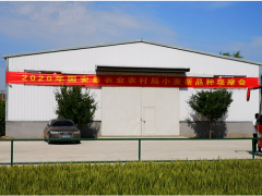 固安县2020年小麦新种类、新技术 推行展现观摩会