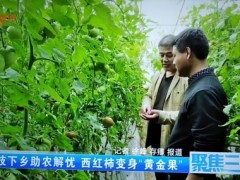 科技帮扶结硕果