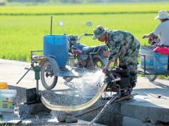 植物水分蒸发量大应留意及时浇灌