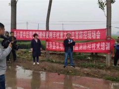 灵寿县农业农村局 召开2020年夏粮中前期管理 及严重病虫害防控现场会