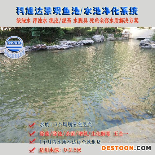 锦鲤池过滤系统价格,科旭达锦鲤鱼池净水设备安徽肥西别墅庭院锦鲤池过滤系统水绿全套解决方案