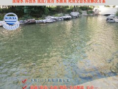 锦鲤池过滤系统价格,科旭达锦鲤鱼池净水设备安徽肥西别墅庭院锦鲤池过滤系统水绿全套解决方案