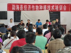 县经作站到格朗和乡举行水果种植管理技术培训会