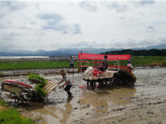 连城县举行水稻机械化育插秧技术培训班及水稻机械化插秧现场作业演示会