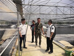 龙岩市展开渔业防汛备汛及水产质量量安全执法反省义务