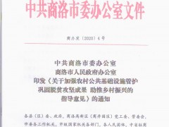 我鹤壁市出台加强农村公共基础设备管护指点意见