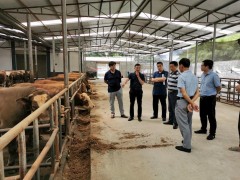 晋中市农业农村局挂牌督战叙永县产业扶贫义务