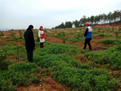 吉水县农业农村局：组建“一队三组”促进 春耕备耕