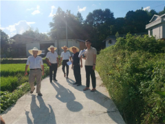 龙岩市农田树立站对长汀县2018年度农业综合开发童坊镇、馆前镇2个高标准农田树立项目展开市级复查