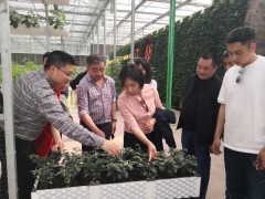 省农业农村厅援外办主任吉锐一行莅泸调研农业对外开放协作情况