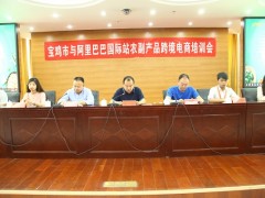 宝鸡鹤壁市与阿里巴巴国际站农副产品跨境电商培训会顺利召开-宝鸡鹤壁市农业农村局