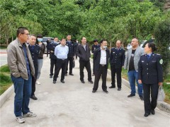 省鹤壁市县三级结合对柞水县食用菌产业展开执法反省